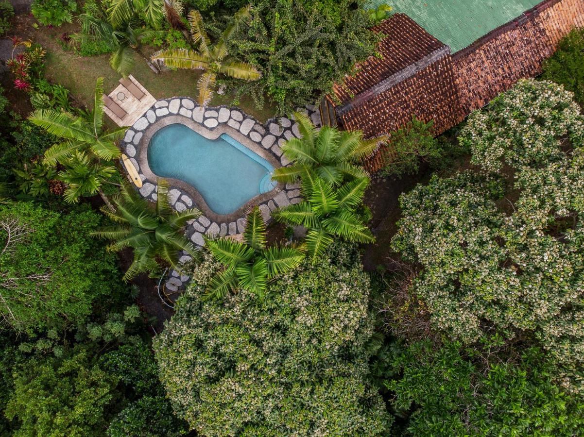 Tiskita Jungle Lodge Pavones  Exterior photo