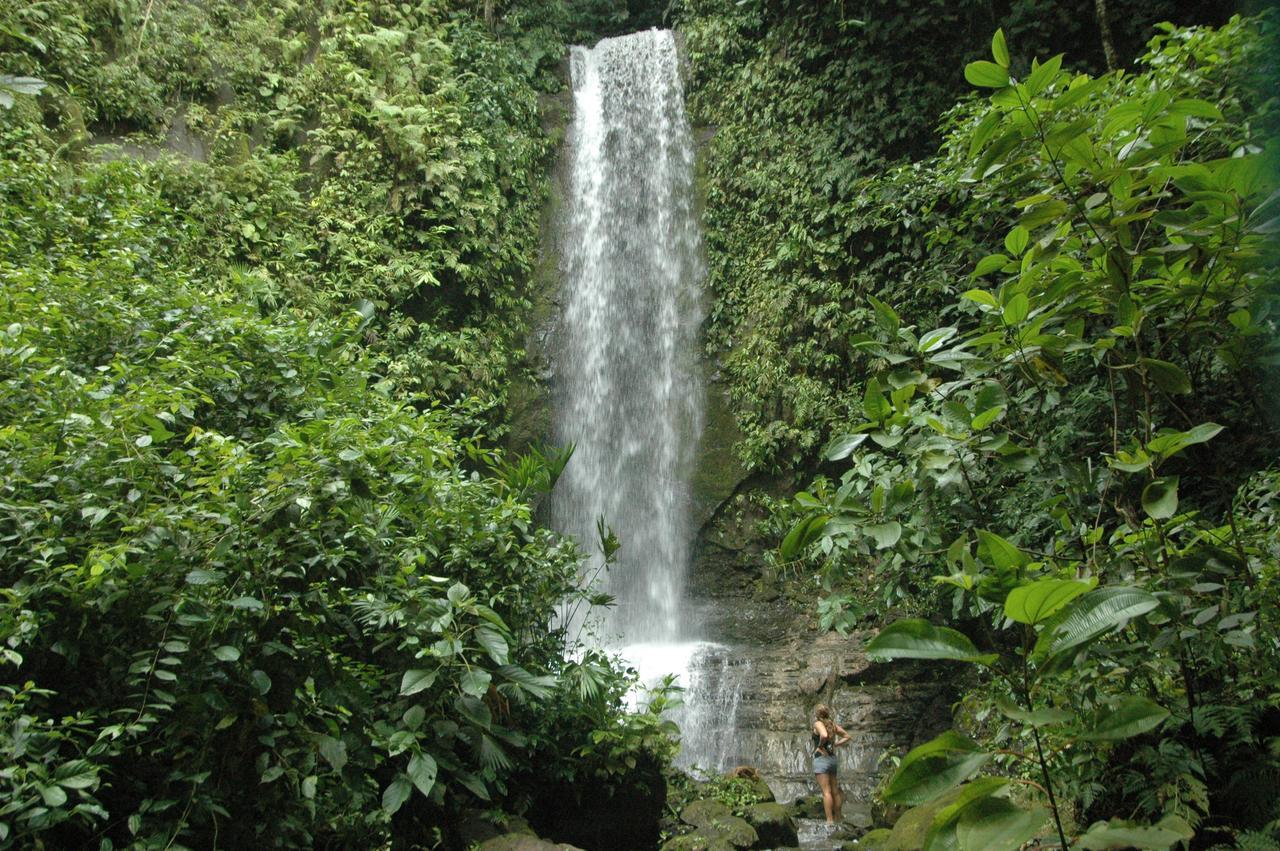 Tiskita Jungle Lodge Pavones  Exterior photo